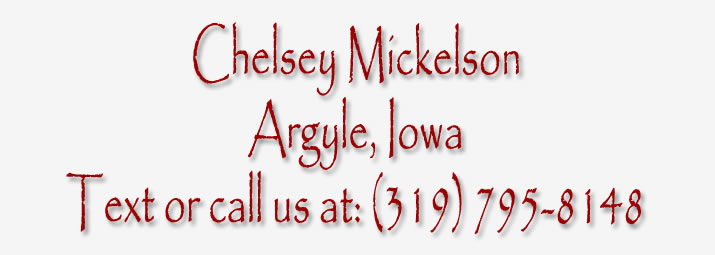 Tammy and Chelsey Mickelson (Craine) Keokuk, Iowa. Redside Nigerian Dwarf goats, Goats for sale in Iowa, Nigerian Dwarf goats for sale in illinois, dairy goats for sale in missouri, wethers available, does available, bucks available, milkers for sale.